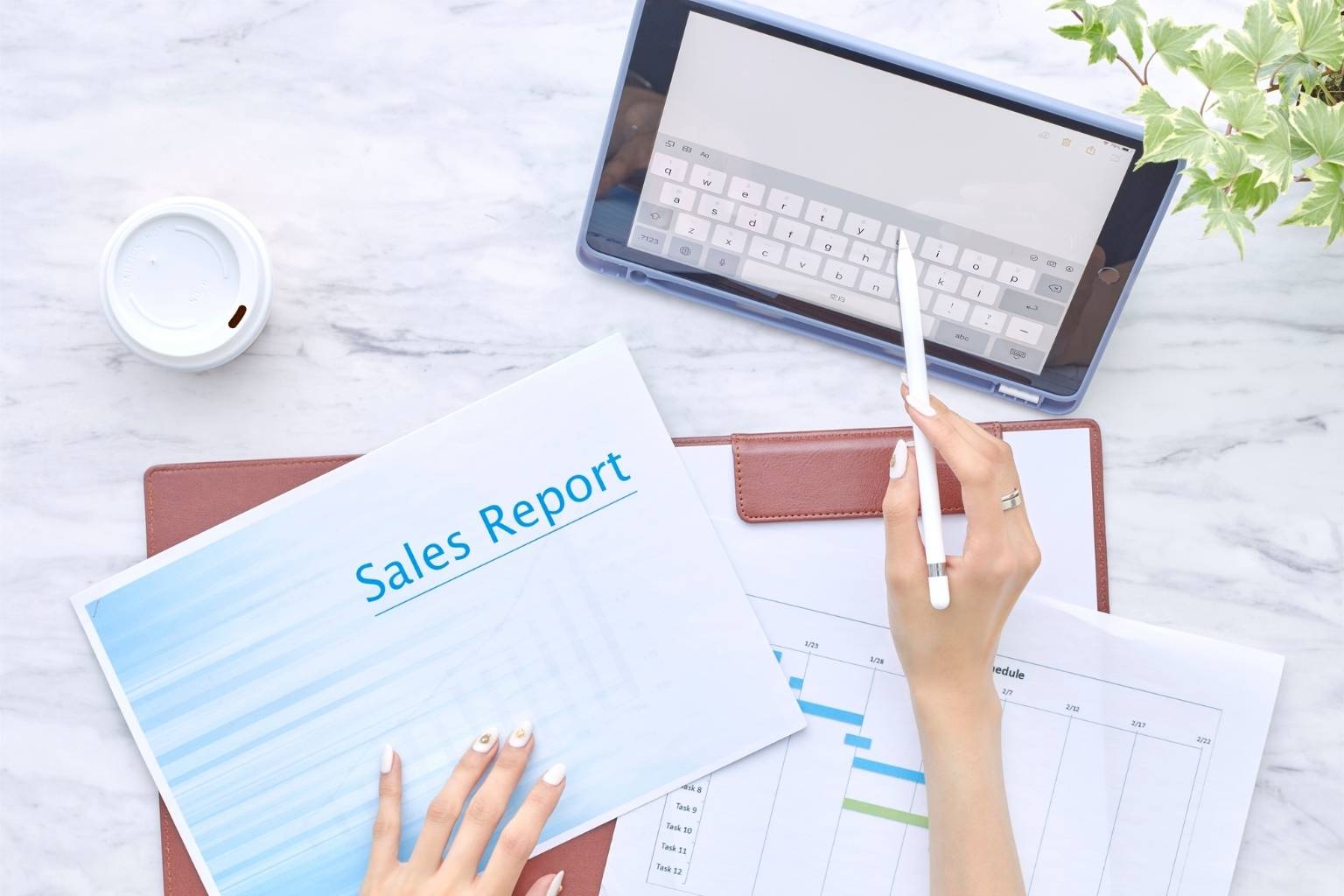 reviewing sales report